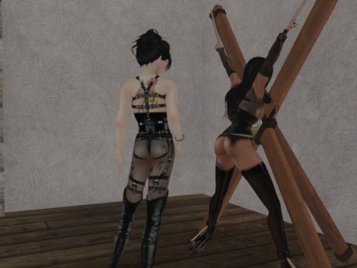 Web 54275e6b8da57255c9000001