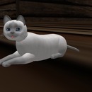 Thumb 50d90ee76448817daa000001