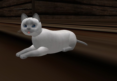 Web 50d90ee76448817daa000001