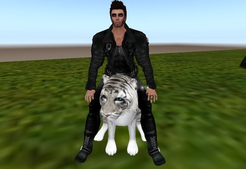 Web 512ad979667c56035b000001