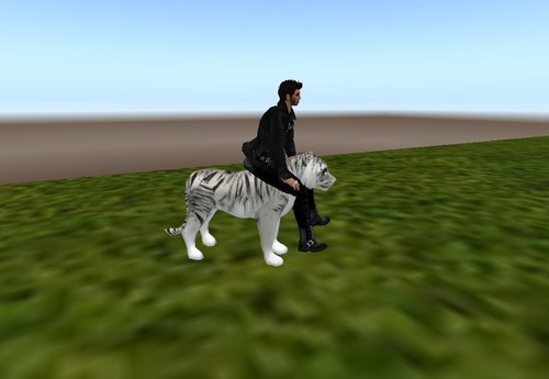 Web 512ad9ca5d2fb92eeb000001