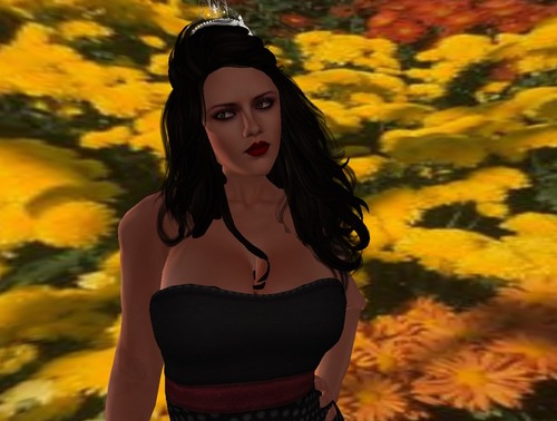 Web 524953515e9c35220c000001