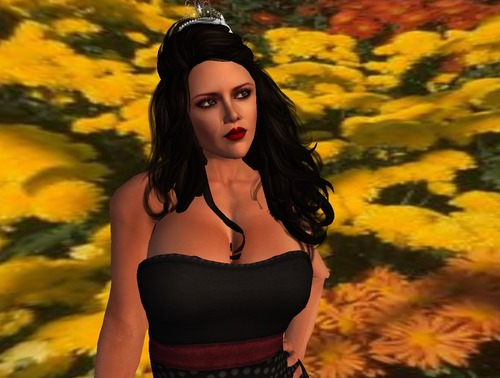 Web 524953c9aeaac50ec4000001