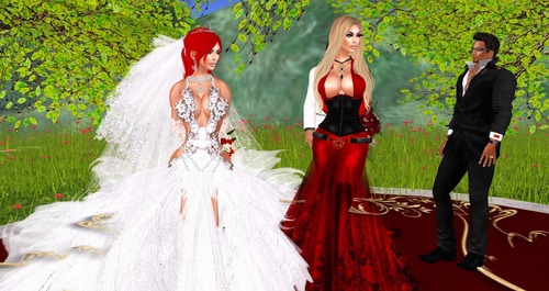 Web 53f77161128cc9332d000001