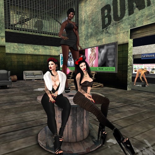 Web 5748adb7b015405e59000001