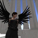 Thumb 53747c54a73e210872000001