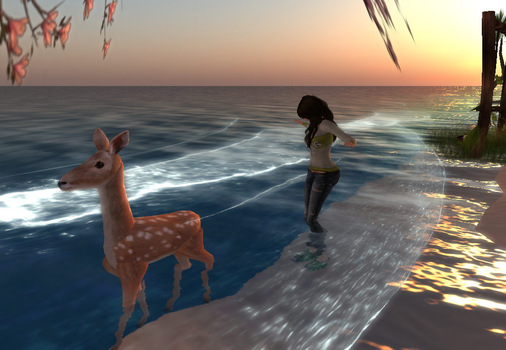 Original 50657e3cdfc02952b2000001