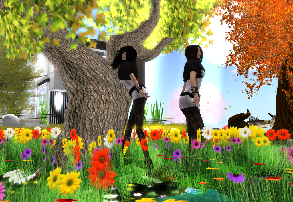 Original 5103b1d48004de738f000001