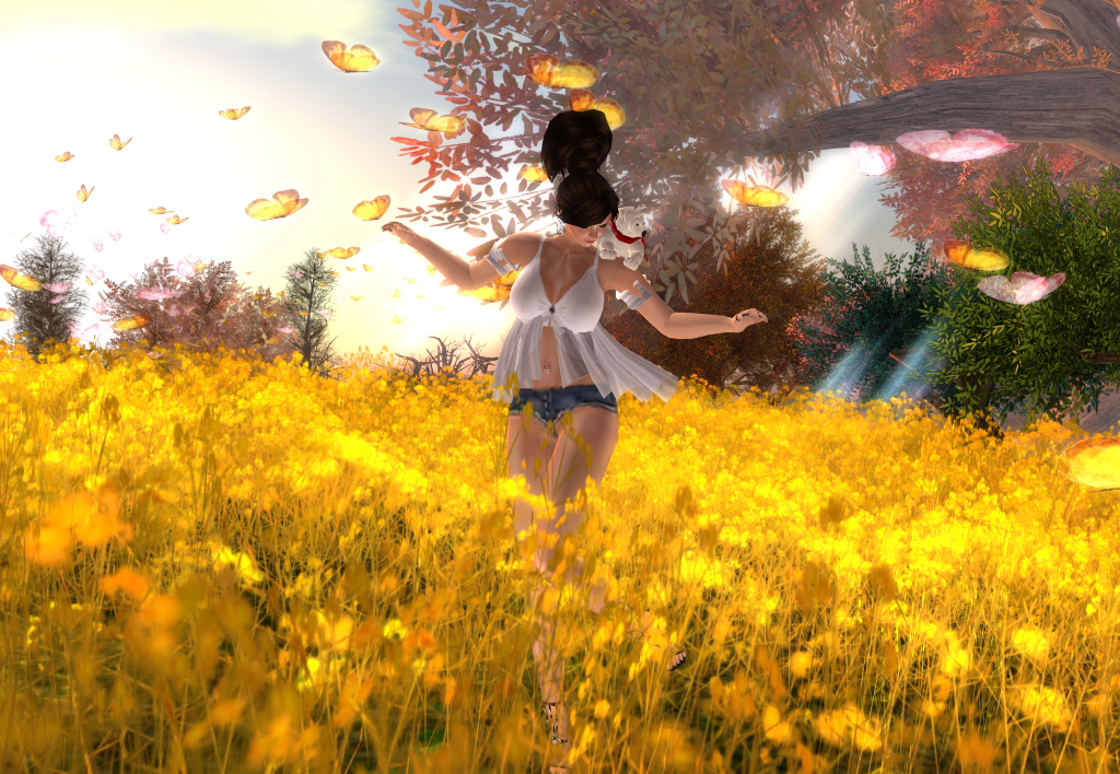 Original 5107ee74d562b97f21000001