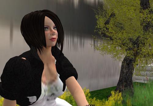 Web 5103aed6e14376219d000001