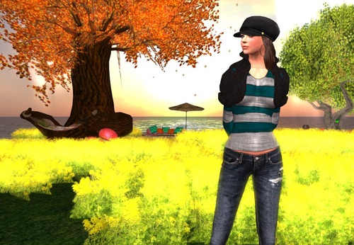 Web 510621b7275b61537d000001