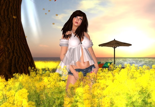 Web 51075b637ab73012f3000001