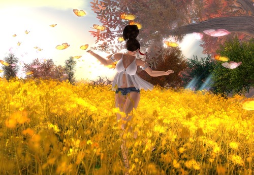 Web 5107ee74d562b97f21000001