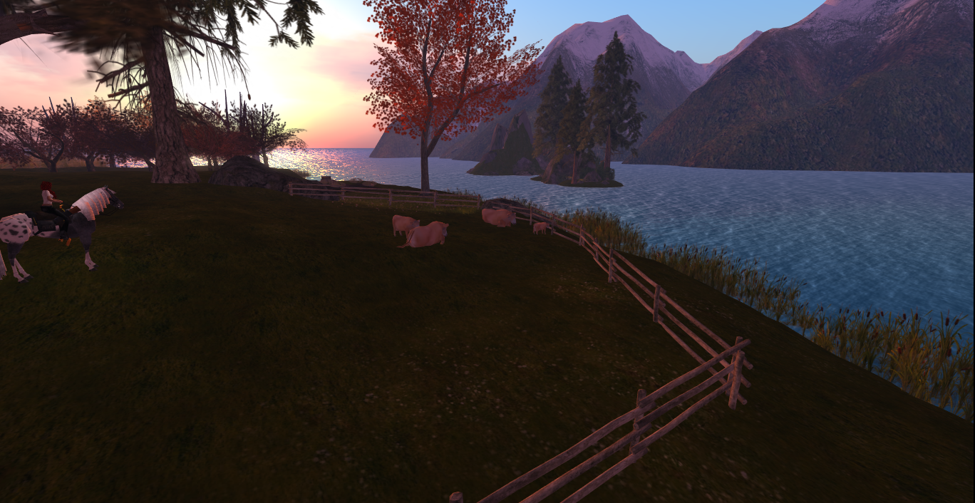 Original 5080a2db8958cd1a89000001