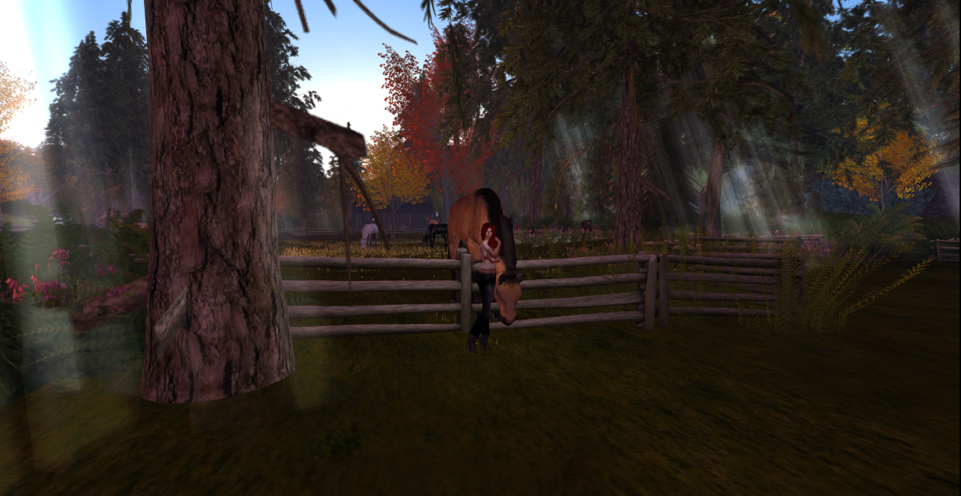 Original 508148120b4fd76a10000001