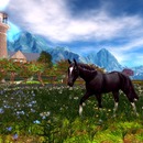 Thumb 530ceb98a73e21243c000001