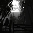 Thumb 536207c9128cc96ea9000001