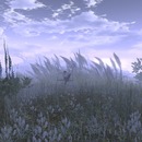 Thumb 57e7a39ce85cda6d6d000001