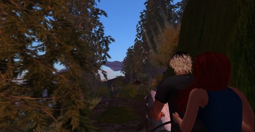 Web 507f4c3afd00aa3817000001