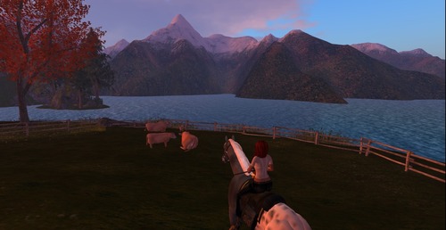 Web 5080a2b3ccac7b1582000001