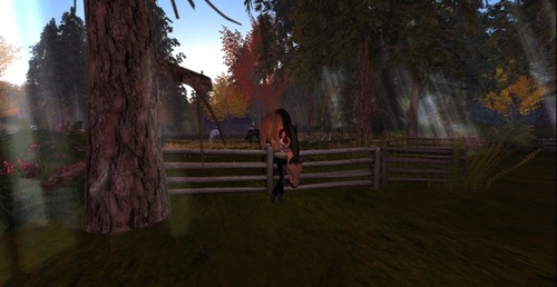 Web 508148120b4fd76a10000001