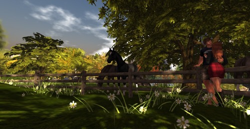 Web 5827c360b0154005c7000001