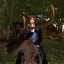 Thumb 50b8664e3116292c47000001