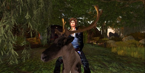 Web 50b8664e3116292c47000001