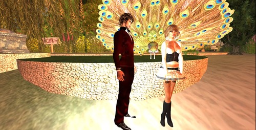 Web 50bcfc474dae5b5659000001