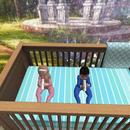 Thumb 5c069dd5d774f83ad6000001