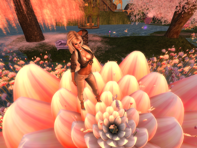 Original 589770bef8a1ec6531000001