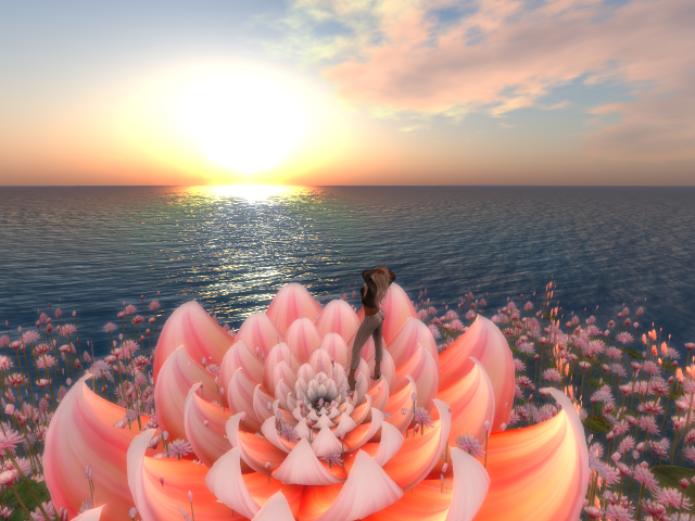 Original 589770e8f8a1ec6621000001