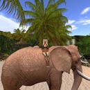 Thumb 5892fa59b713f72123000001