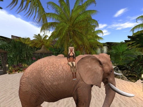 Web 5892fa59b713f72123000001