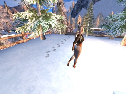 Web 589499b5e85cda03f7000001