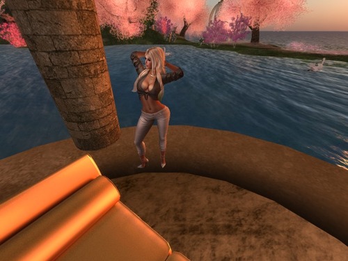 Web 58976fbff8a1ec5bd5000001