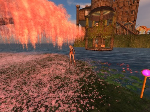 Web 589770cbe85cda3c86000001