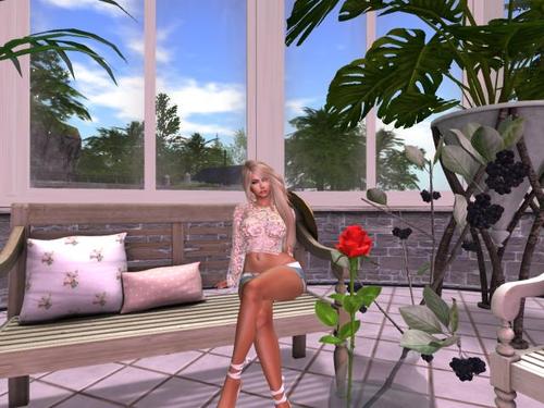 Web 5ba0c663d774f81b69000001