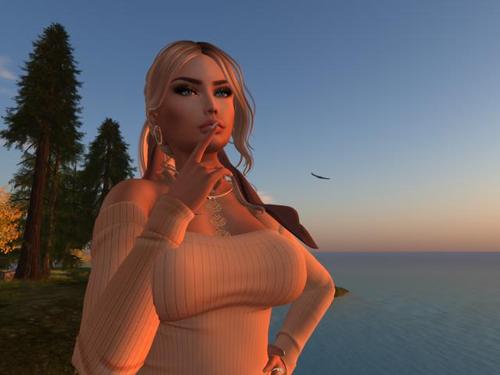 Web 5bb49564289dd20b53000001