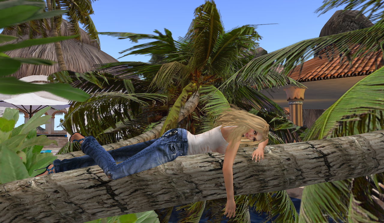 Original 524ef56e9e309d77bf000001