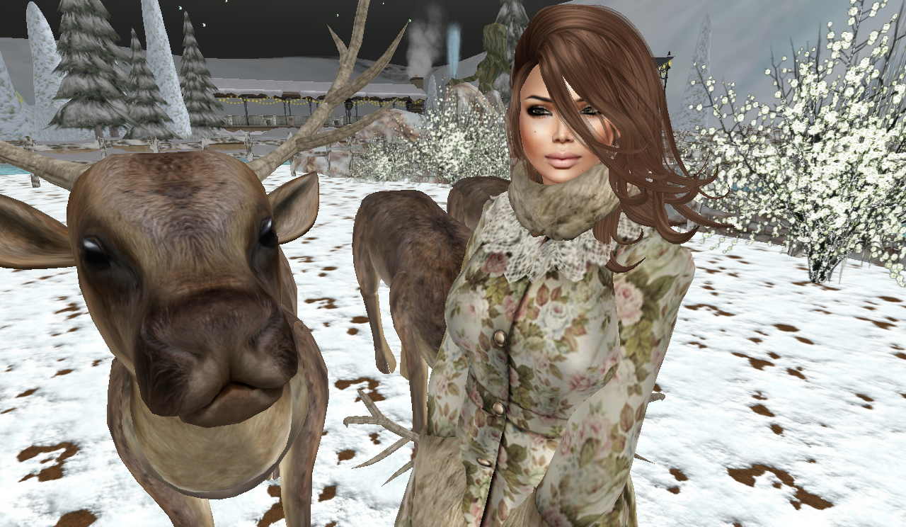 Original 54b28b08f8a1ec1c2d000001