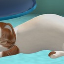 Thumb 523548e4308b8568ce000001