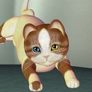 Thumb 523562ea9994c5527d000001