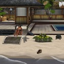 Thumb 534abfd9a73e213d87000001