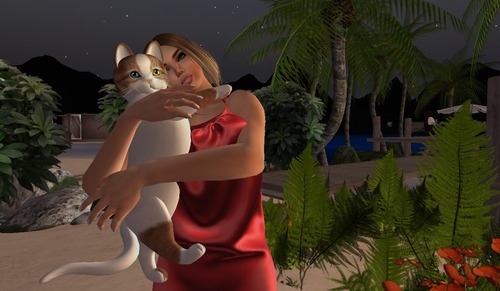 Web 523de720d3aaee2932000001