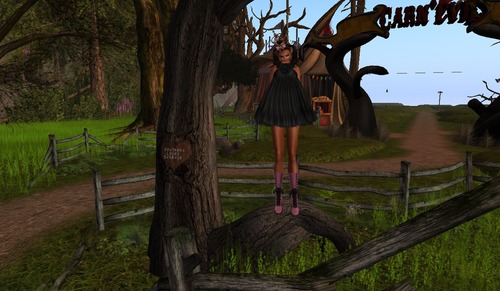 Web 523f141f4aee6e30e3000001