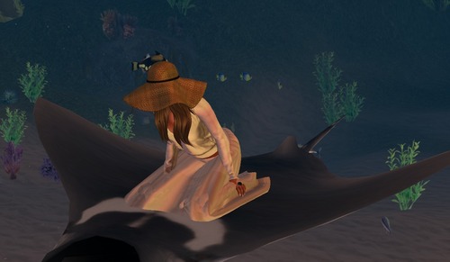 Web 534bc952f8a1ec5043000001