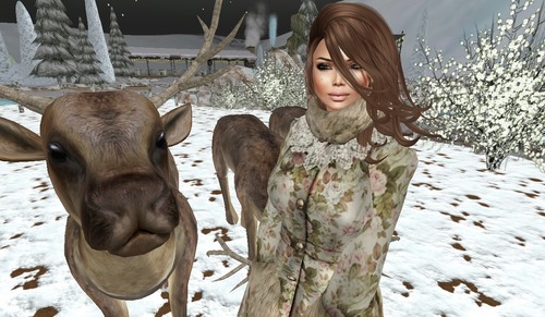 Web 54b28b08f8a1ec1c2d000001