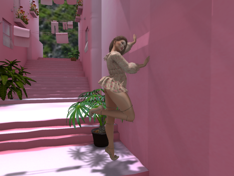 Original 5cd3102e289dd205d0000001