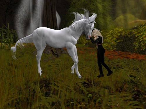 Web 526271800e22a31e0c000001